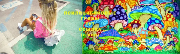 мяу мяу мука Снежинск