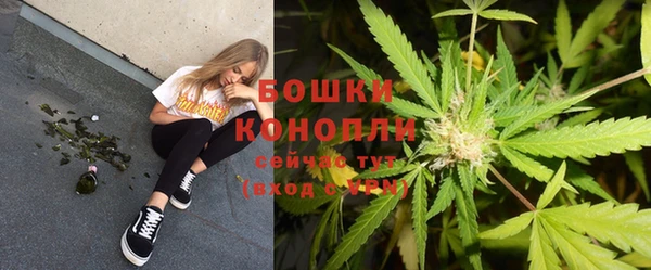 прущая мука Богородск