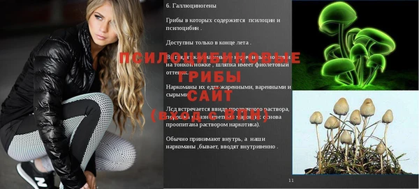 спиды Белоозёрский