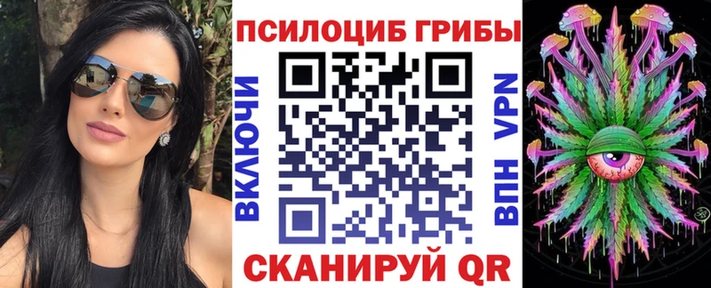 хочу наркоту  Козельск  Псилоцибиновые грибы Magic Shrooms 